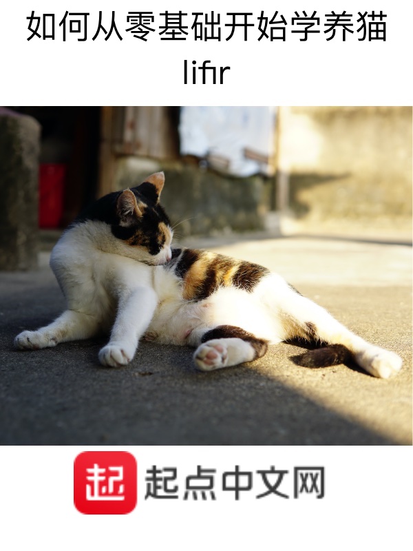 养猫教程视频